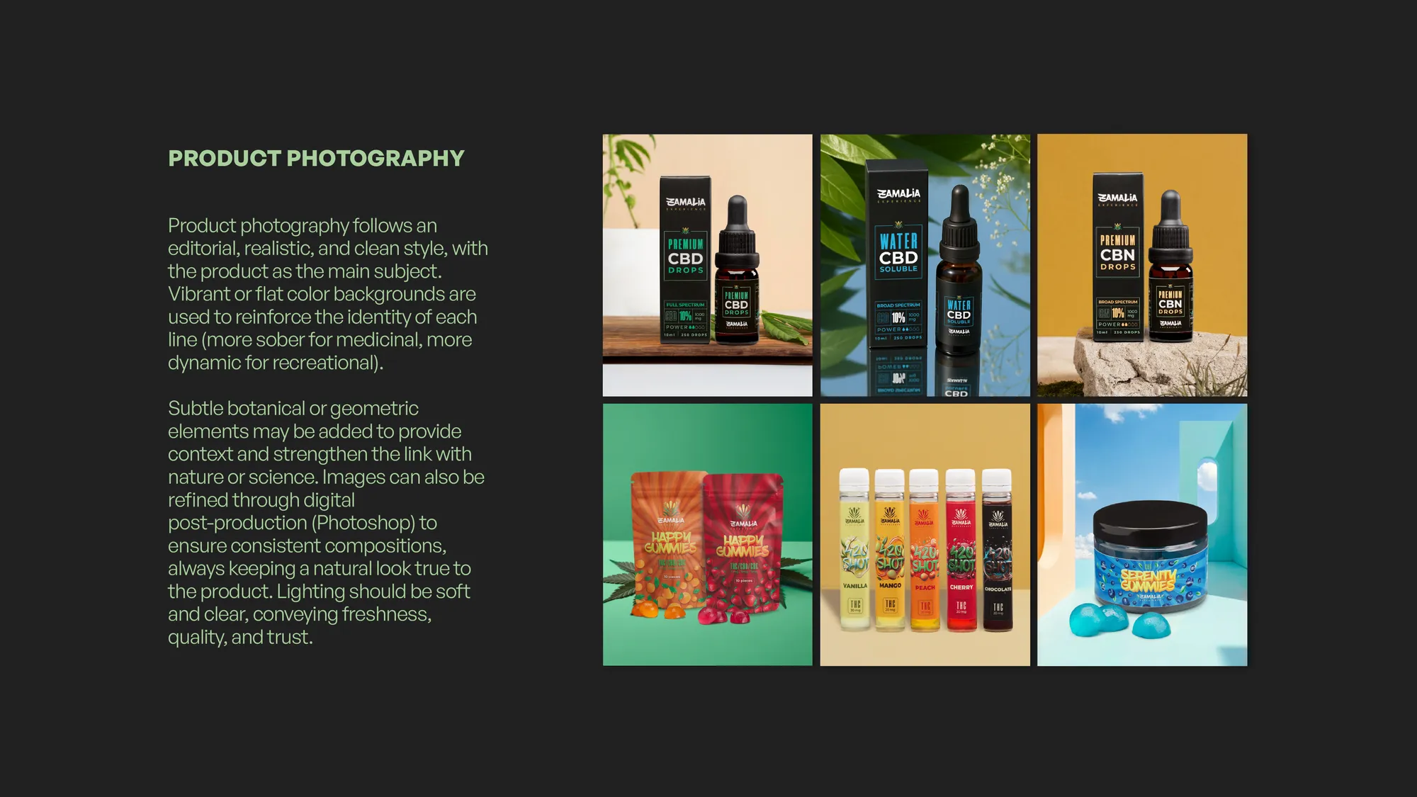 Zamalia Experience   Branding 24